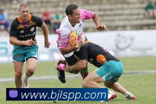 百家乐网站平台生态图